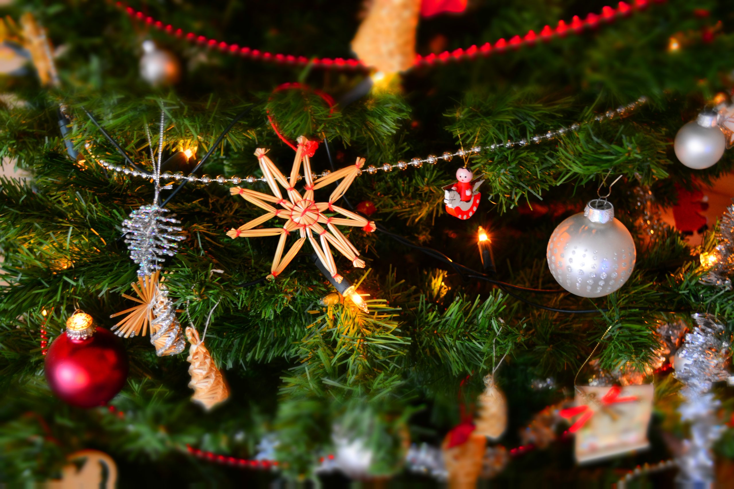 Christmas & New Year Party 2023